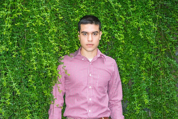 Aşk yeşili. Öğrenci portresi. Kırmızı desenli, uzun kollu gömlek giyen, duvarda uzun yeşil yapraklı genç bir adam, ciddi ciddi sana bakıyor. Çevre Koruma Konsepti