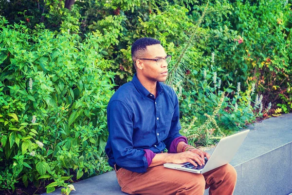 在纽约学习的非裔美国大学生 戴着眼镜 坐在校园里的绿色植物旁 在笔记本电脑上工作 抬起头来 — 图库照片