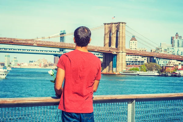 I missing you, waiting for you. East Indian American man wearing red T shirt, standing by river, holding white rose, looking back. Manhattan, Brooklyn bridges on background.