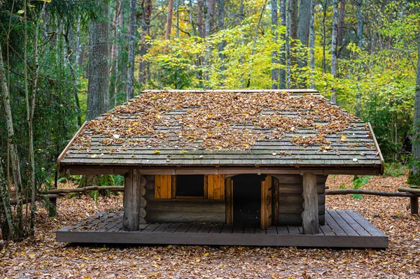 Pequena Casa Madeira Mística Floresta Outono Tervete Letónia — Fotografia de Stock