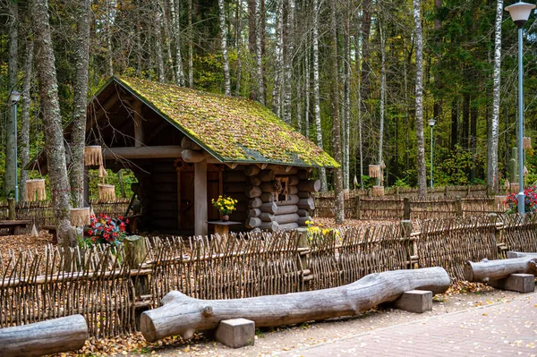 拉脱维亚Tervete秋天森林里的小神秘木料屋 — 图库照片