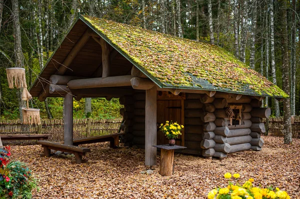 拉脱维亚Tervete秋天森林里的小神秘木料屋 — 图库照片