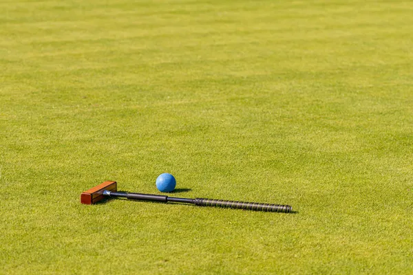 Mazza Croquet Palla Awn Verde — Foto Stock