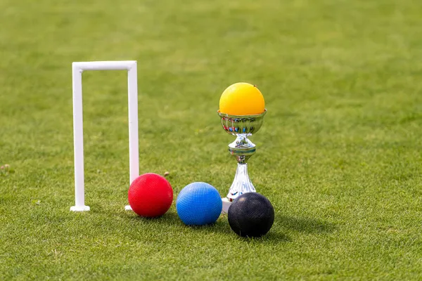 Een Set Gekleurde Ballen Een Winnaarsprijs Bij Croquet Wicket Het — Stockfoto