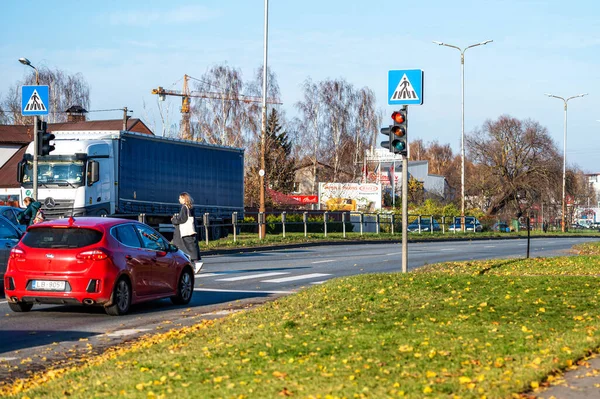 Riga Lettland Oktober 2021 Autos Werden Einem Fußgängerüberweg Angehalten Damit — Stockfoto