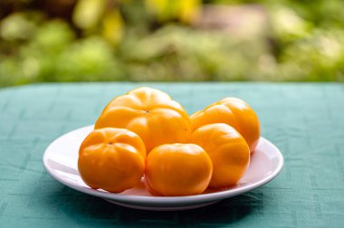 Tabaktaki taze sarı domatesler dağınık bir bahçenin arka planına karşı, yakın plan.