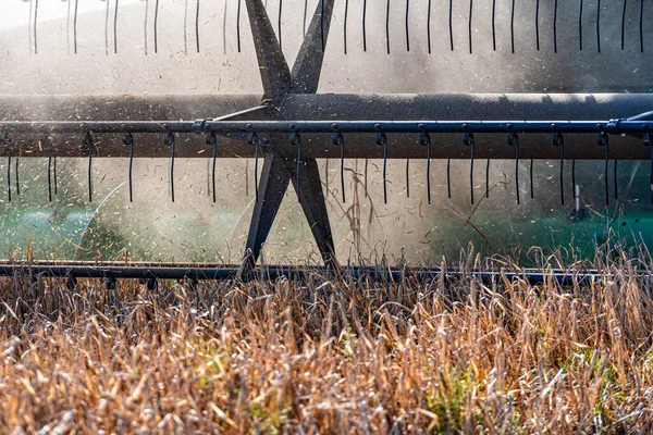 Haspel Van Een Landbouwmaaidorser Snijdt Tarwegranen Het Stof Close — Stockfoto