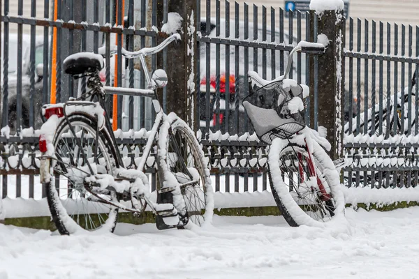 Sněhem Pokrytá Kola Jsou Zaparkovaná Uzamčená Plotu Chodníku Zimním Městě — Stock fotografie