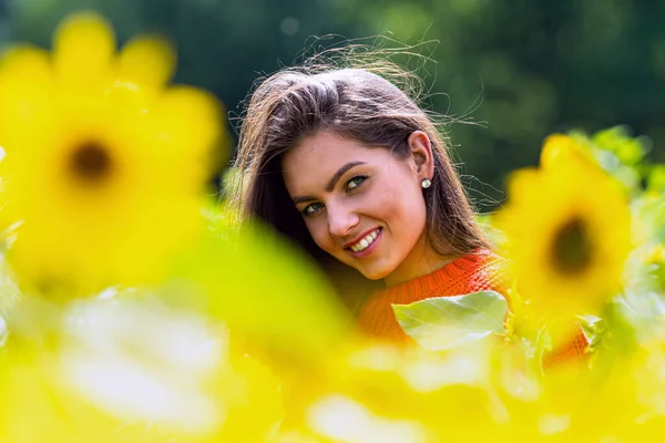 Beautiful Sweet Sexy Woaman Red Sweater Field Sunflowers Sunny Day — Stock Photo, Image