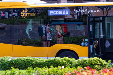 Pisa, İtalya - 10 Ağustos 2021: ECOBUS kamu otobüsü vitrinlerindeki sokak yansımaları