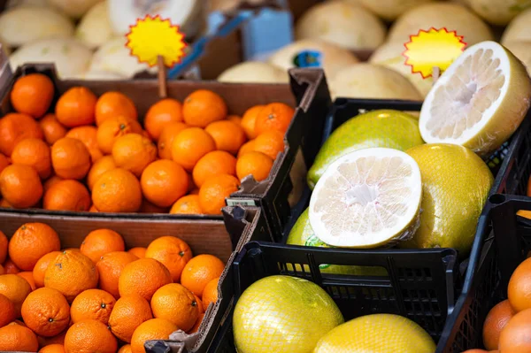 시장에 상자에 만다라 오렌지 과일들이 줄줄이 늘어서 — 스톡 사진