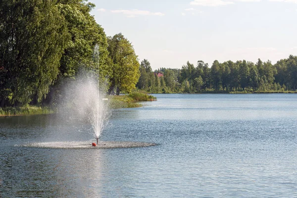 Συντριβάνι Στη Λίμνη Aluksne Κοντά Pilssala Ένα Ηλιόλουστο Καλοκαιρινό Απόγευμα — Φωτογραφία Αρχείου