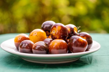 Bulanık arkaplanda farklı türde taze domatesler, yakın plan.