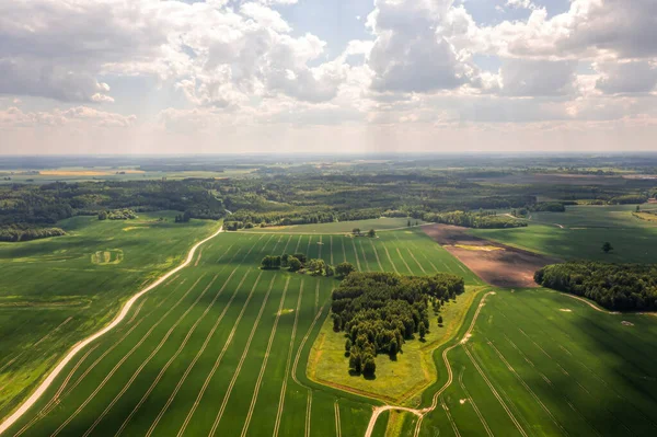 Uitzicht Vanuit Lucht Het Platteland Met Groene Landbouwvelden Bossen Letland — Stockfoto