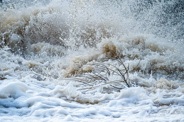 Akan Suyun Yakın Çekimi Hızlı Beyaz Bir Nehri Veya Akıntısı — Stok fotoğraf