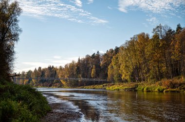 Bulutlu bir sonbahar günü, Letonya 'nın Krimulda şehrinde, Gauja nehrinin kıyısında bir yaya köprüsü.