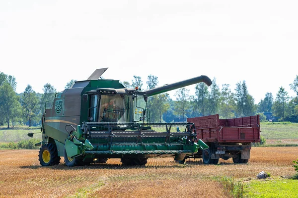 Jaunauce Letland Augustus 2020 Maaidorser Vrachtwagen Combineren Een Akkerland Tijdens — Stockfoto