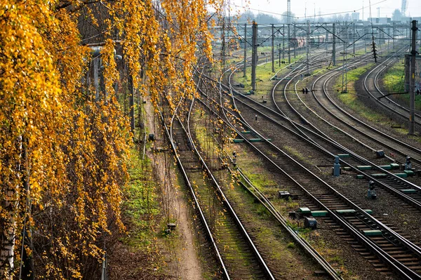 Bahngleise Und Weichen Für Den Zugverkehr Bahnhofsnähe Perspektivische Ansicht Von — Stockfoto