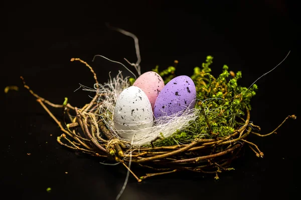 Nest Colored Easter Eggs Isolated Dark Defocused Background Easter Decorations — ストック写真