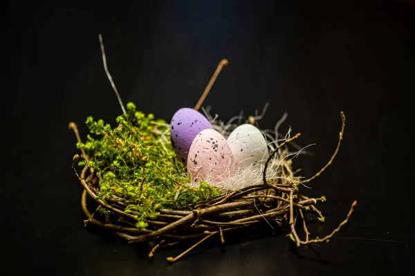 Nest Colored Easter Eggs Isolated Dark Defocused Background Easter Decorations — ストック写真