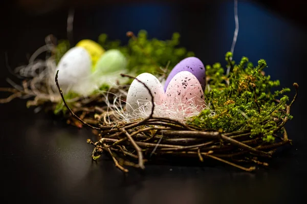 暗い焦点を当てた背景に隔離された色のイースターの卵と巣 イースターの装飾 クローズアップ — ストック写真