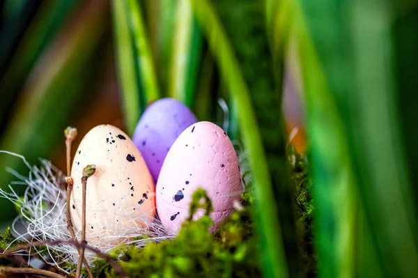 緑の木の枝にカラフルなイースターの卵と鳥の巣 イースターの装飾 選択的な焦点 — ストック写真