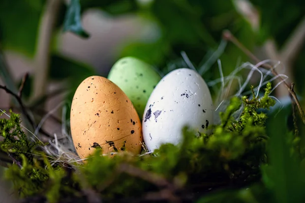 Bird Nest Colorful Easter Eggs Branches Green Trees Easter Decoration — ストック写真