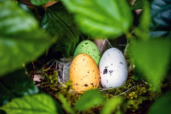 緑の木の枝にカラフルなイースターの卵と鳥の巣 イースターの装飾 選択的な焦点 — ストック写真