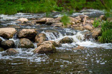 Nehir deresinde yosun ve liken içeren büyük kayalar. Hızla akan suyun arka planı, yakın plan