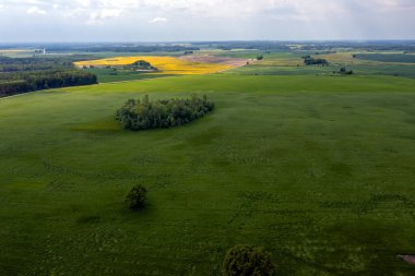 Ağaçlardan ve çalılıklardan oluşan büyük yeşil bir tarla manzarası