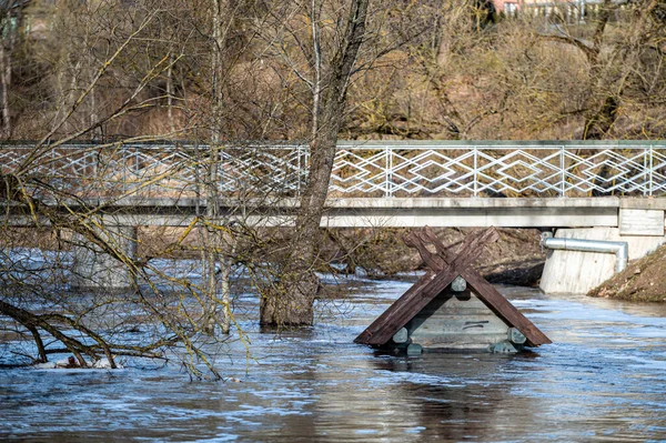 to the roof of a bird house flooded in spring floods - a feeder on the Berze River in Dobele, Latvia