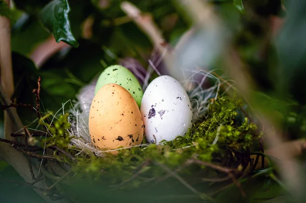 Bird Nest Colorful Easter Eggs Branches Green Trees Easter Decoration — ストック写真