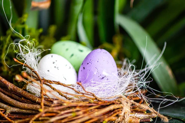 Bird Nest Colorful Easter Eggs Branches Green Trees Easter Decoration — ストック写真