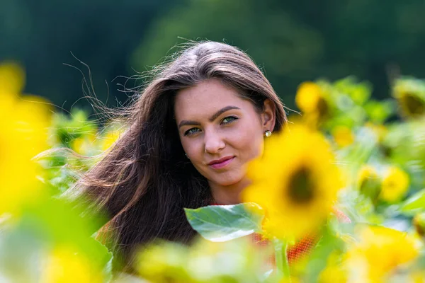 Vacker Söt Sexig Woaman Röd Tröja Ett Fält Solrosor Solig — Stockfoto