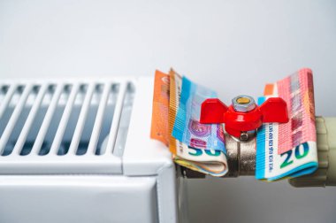 Merkezi ısıtma radyatöründe euro banknotları, pahalı ısıtma maliyetleri kavramı, yakın çekim
