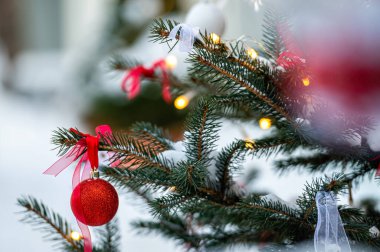 Kırmızı oyuncak top karlı bir dala asılı, karlı bir çam ağacında kırmızı bir mücevher, Noel süsü, yakın plan