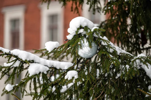 Kerst Dennenboom Tak Bedekt Met Sneeuw Versierd Met Kleurrijke Bauble — Stockfoto