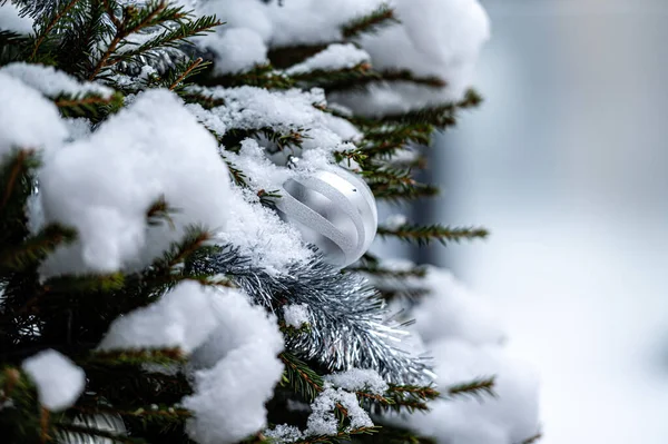 Jedle Větev Pokrytá Sněhem Zdobené Barevné Vánoční Hračky Venku Detailní — Stock fotografie