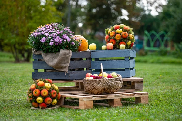 Decoraciones Otoño Jardín Con Frutas Frescas Verduras Flores — Foto de Stock