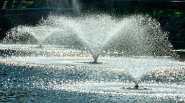 Dobele, Letonya. Nehrin ortasında muhteşem Çeşmesi.