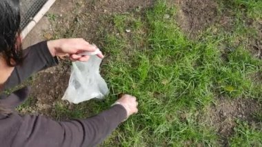 Köpek gübresi toplayan bir kızın eli, özel eldivenli köpek kakası ve beton yolun yakınındaki yeşil çimlerden özel geri dönüşüm torbası.