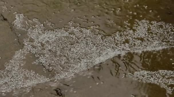 Skador orsakade av snöstormen som orsakade hagel, iskallt regn, slask, tapiokasnön, fyllning av rännstensrören och trädgården i ett hus. — Stockvideo