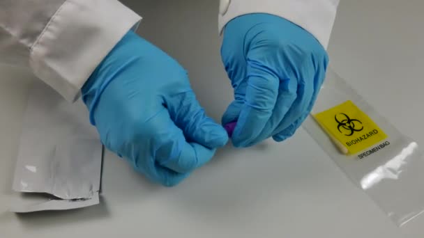 Hisopo antigénico, detector de virus covid 19, con tubo de ensayo, líquido, resultado negativo, realizado por las manos de un médico con guantes azules. — Vídeos de Stock