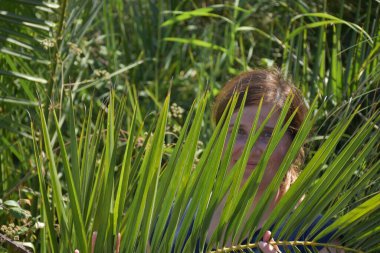 Pretty woman hiding behind tall green grass