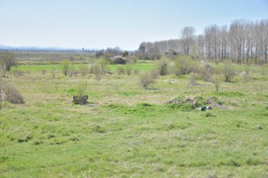 Şortlu ve taşaklı bir çocuğun resmi.,