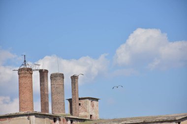 Gökyüzündeki güzel leylek