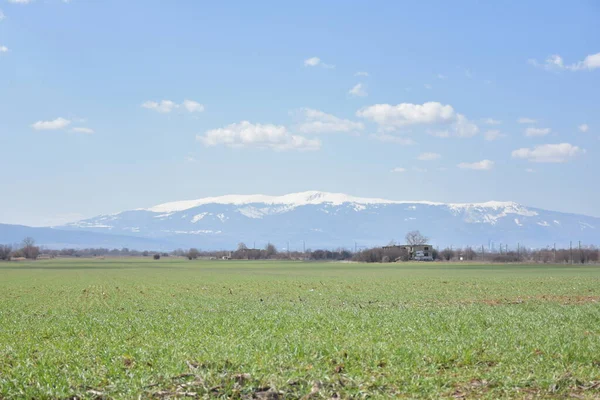 Beau Paysage Montagnes Neige — Photo