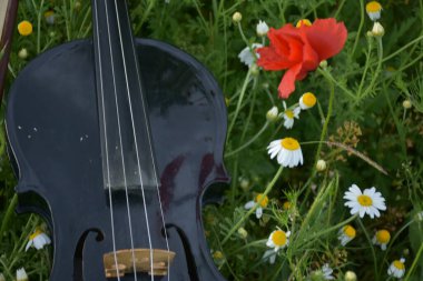 Çimlerde gitar ve keman,