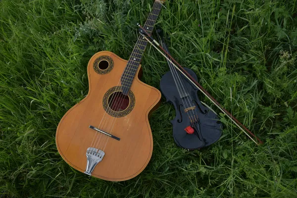 Guitarra Violín Hierba — Foto de Stock