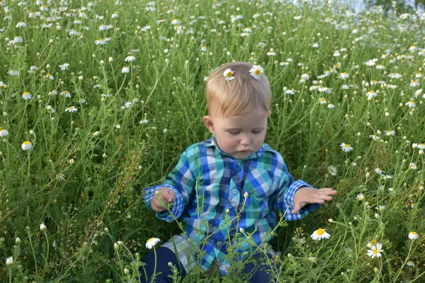 Dziecko Siedzi Trawie — Zdjęcie stockowe